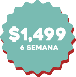Precio copy 2